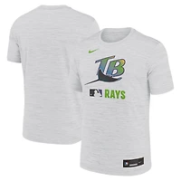 Men's Nike  Ash Tampa Bay Rays Authentic Collection Velocity Dri-FIT T-Shirt