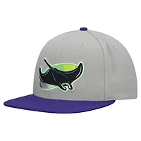 Casquette snapback basique Mitchell & Ness grise pour homme, collection Cooperstown, Tampa Bay Rays