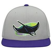 Casquette snapback basique Mitchell & Ness grise pour homme, collection Cooperstown, Tampa Bay Rays