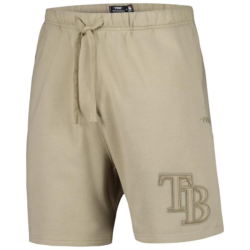 Men's Pro Standard Pewter Tampa Bay Rays Neutral Fleece Shorts