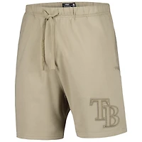 Men's Pro Standard Pewter Tampa Bay Rays Neutral Fleece Shorts