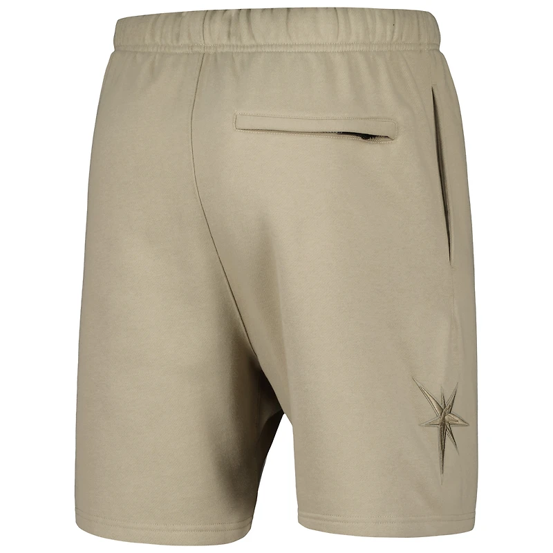 Men's Pro Standard Pewter Tampa Bay Rays Neutral Fleece Shorts
