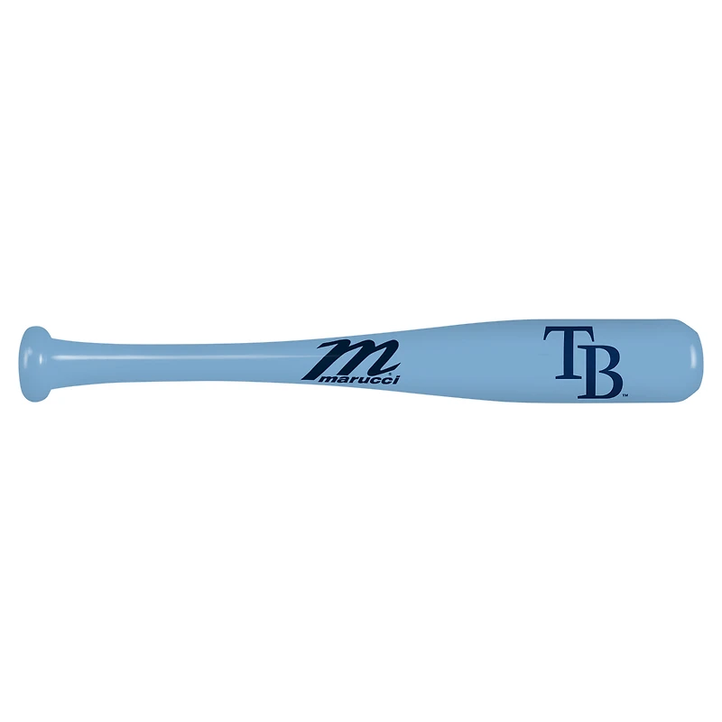 Tampa Bay Rays Mini Souvenir Bat