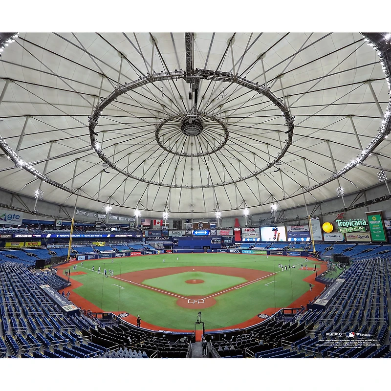 Photographie non signée de la vue générale des Rays Tampa Bay