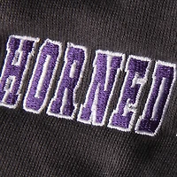 Youth Stadium Athletic Charcoal TCU Horned Frogs Big Logo Pullover Hoodie