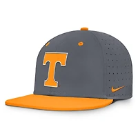 Casquette ajustée Nike Tennessee Volunteers Dugout True Dri-FIT grise pour homme