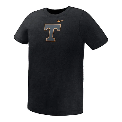 Preschool Nike Black Tennessee Volunteers Legend Color Pop Performance T-Shirt