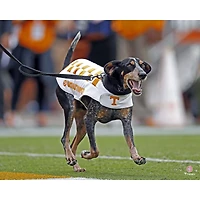 Photographie non signée de Smokey Running des Tennessee Volunteers