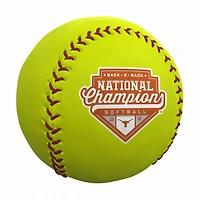 Logo Brands Texas Longhorns 2026 NCAA Softball Women's College World Series Champions Softball
