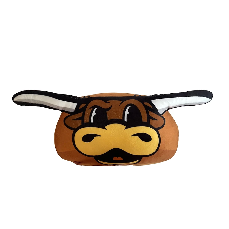 Coussin en peluche empilable Pegasus Texas Longhorns