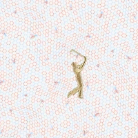 Polo nid d'abeille poids plume Peter Millar White THE PLAYERS Goldman pour homme