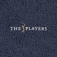 Women's Under Armour  Navy THE PLAYERS Playoff 3.0 Eagle Swoop V-Neck Polo