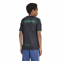 Youth adidas  Gray Tigres UANL 2025/26 Third Replica Jersey