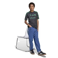 Maillot adidas Tigres UANL 2025/26 troisième réplique pour enfant, gris