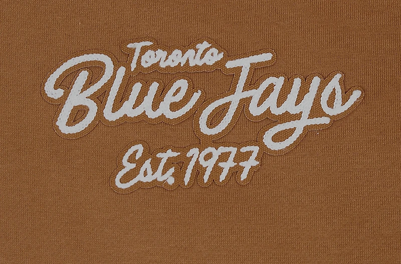 Men's Pro Standard Brown Toronto Blue Jays Paint the City Pullover Hoodie