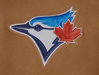 Men's Pro Standard Brown Toronto Blue Jays Paint the City Pullover Hoodie