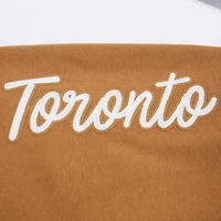 Sweat-shirt à enfiler Pro Standard Brown Toronto Blue Jays Paint the City pour homme