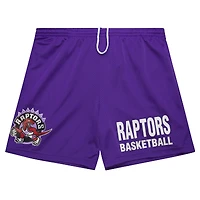 Men's Mitchell & Ness Purple Toronto Raptors Hardwood Classics Gameday Mesh Shorts