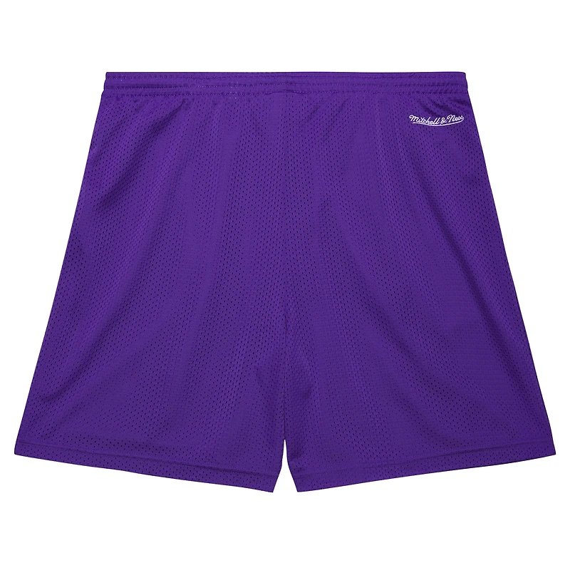Men's Mitchell & Ness Purple Toronto Raptors Hardwood Classics Gameday Mesh Shorts