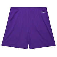 Men's Mitchell & Ness Purple Toronto Raptors Hardwood Classics Gameday Mesh Shorts