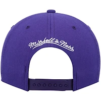 Casquette snapback violet Mitchell & Ness pour hommes des Raptors de Toronto Hardwood Classics Team Ground 2.0