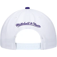 Men's Mitchell & Ness White/Purple Toronto Raptors Hardwood Classics Core 2-Tone 2.0 Pro Snapback Hat