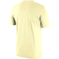 Men's Nike Cream Toronto Raptors Essential Logo T-Shirt