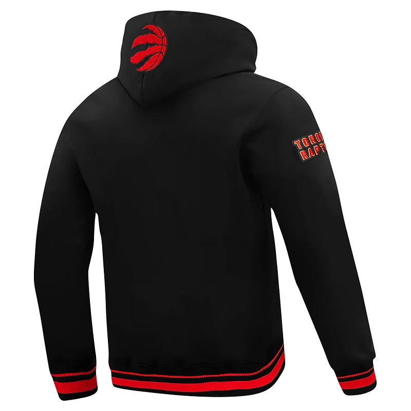 Men's Pro Standard Black Toronto Raptors Area Code Pullover Hoodie
