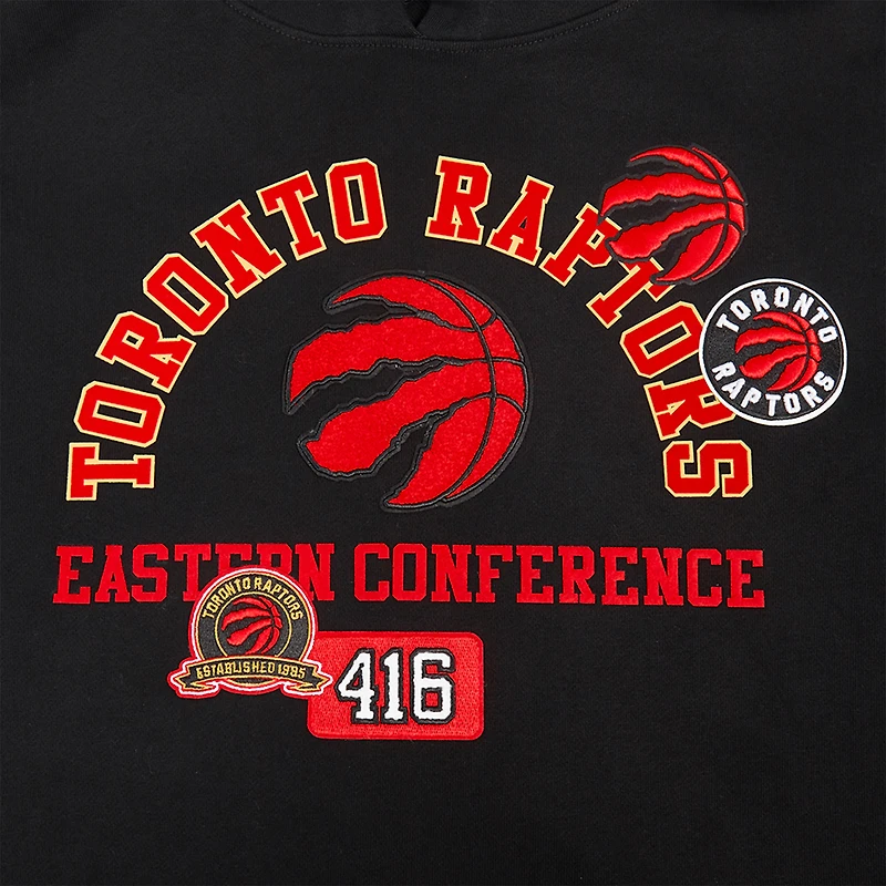 Men's Pro Standard Black Toronto Raptors Area Code Pullover Hoodie