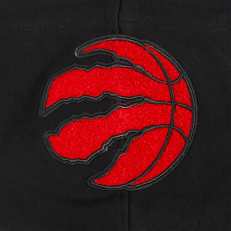 Men's Pro Standard Black Toronto Raptors Area Code Pullover Hoodie