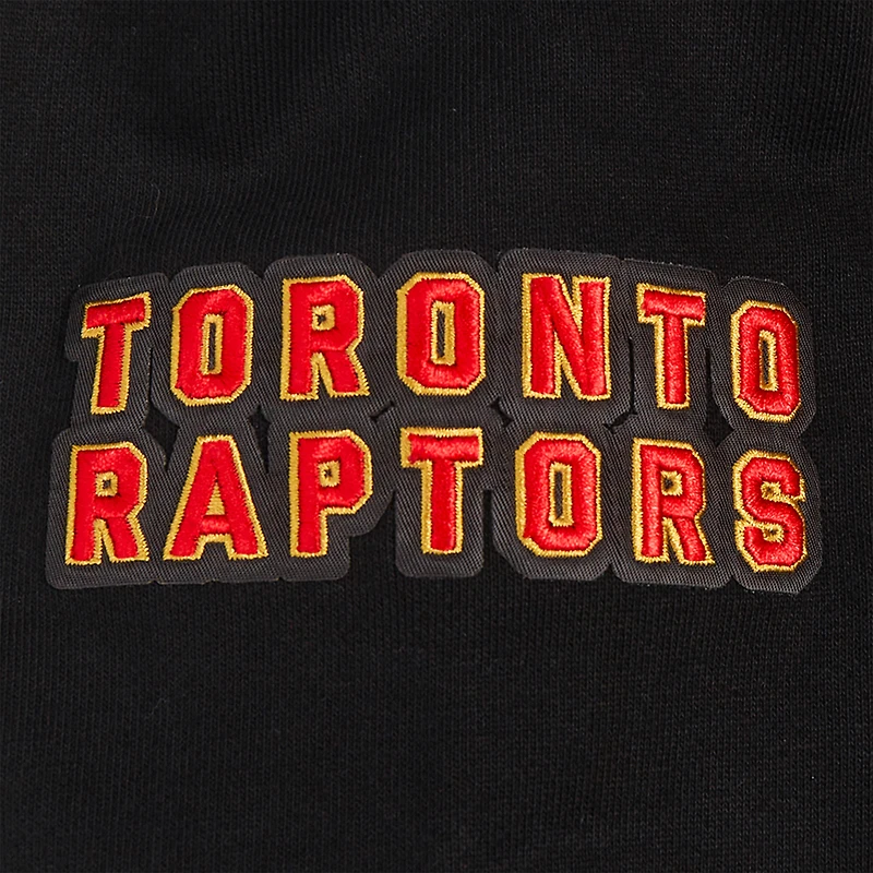 Men's Pro Standard Black Toronto Raptors Area Code Pullover Hoodie