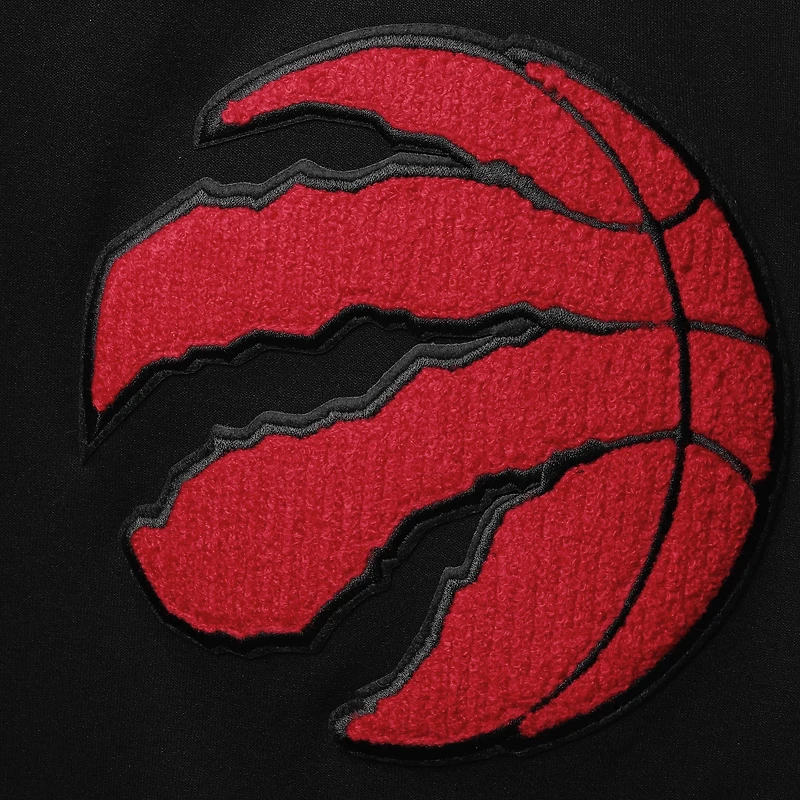 Chandail à capuchon en chenille des Toronto Raptors Pro Standard pour hommes, noir