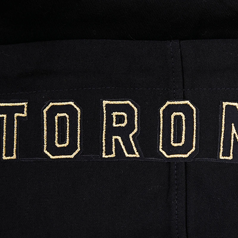 Men's Pro Standard Black Toronto Raptors Full-Zip Hoodie