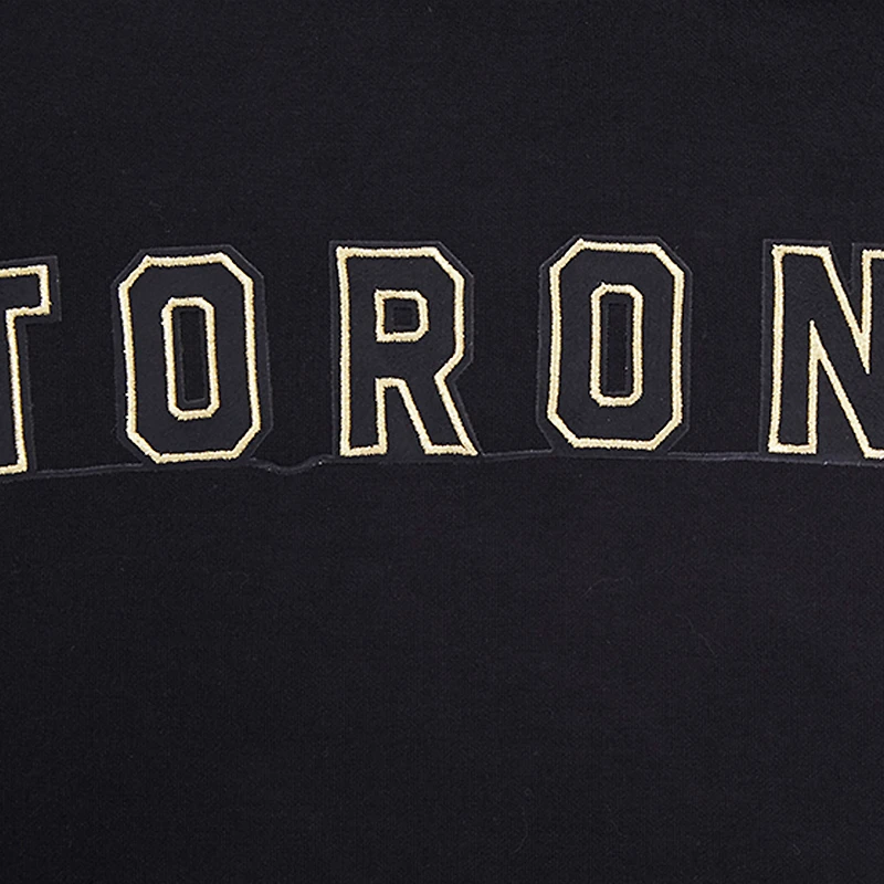Chandail à capuchon Pro Standard noir des Raptors de Toronto pour hommes