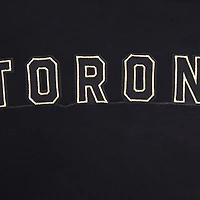 Chandail à capuchon Pro Standard noir des Raptors de Toronto pour hommes