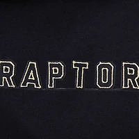 Men's Pro Standard Black Toronto Raptors Pullover Hoodie