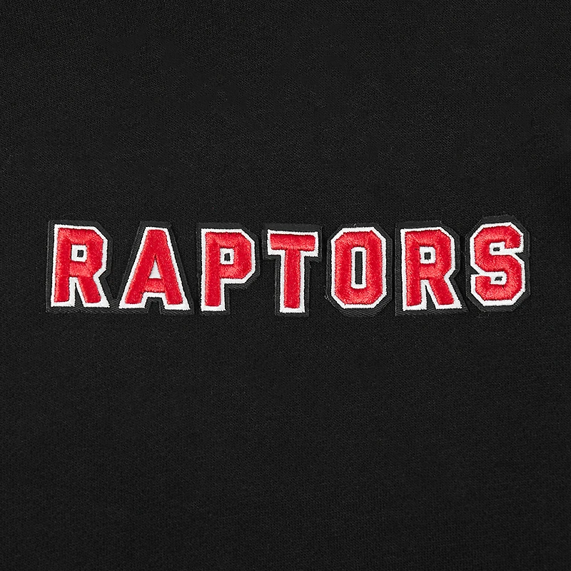 Men's Pro Standard Black Toronto Raptors Wingspan Pullover Hoodie