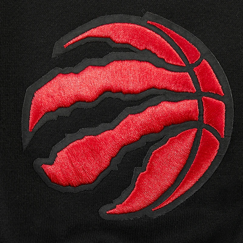 Sweat à capuche épaules tombantes Pro Standard pour homme, noir, Toronto Raptors Wingspan