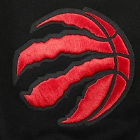 Sweat à capuche épaules tombantes Pro Standard pour homme, noir, Toronto Raptors Wingspan