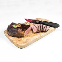 The Sports Vault Toronto Raptors - Steak Knives Set