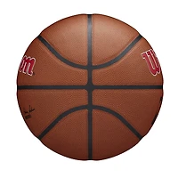 Toronto Raptors Wilson NBA Team Alliance Basketball