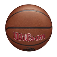 Toronto Raptors Wilson NBA Team Alliance Basketball