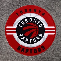 Unisex Gray Toronto Raptors Robe