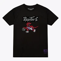 Unisex Mitchell & Ness Toronto Raptors Hardwood Classics Arch T-Shirt