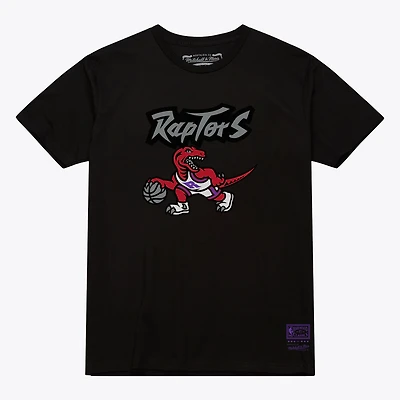 Unisex Mitchell & Ness Toronto Raptors Hardwood Classics Arch T-Shirt