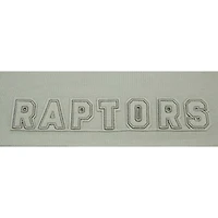 Chandail à capuchon court enfiler carré neutre Toronto Raptors Pro Standard pour femme, vert