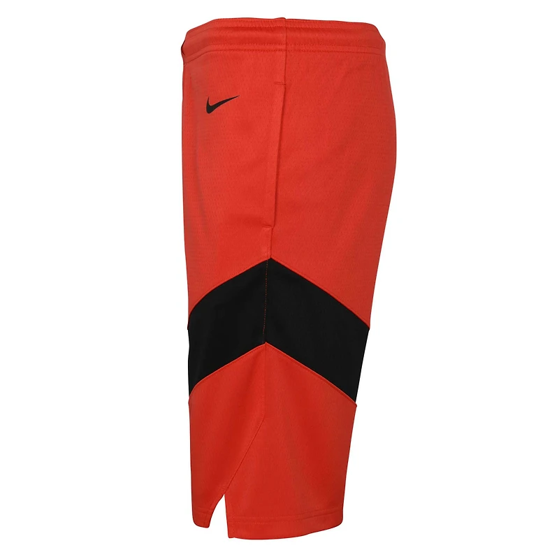 Youth Nike Red Toronto Raptors Swingman Icon Edition Shorts