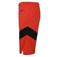 Youth Nike Red Toronto Raptors Swingman Icon Edition Shorts