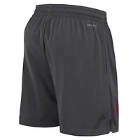 Men's Nike Anthracite USC Trojans 2024 Sideline Performance Mesh Shorts