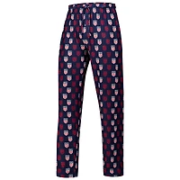 Men's Concepts Sport Navy USMNT Record Sleep Pants